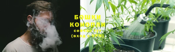 PSILOCYBIN Верхний Тагил